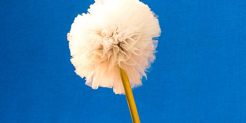 Who is the programme for?